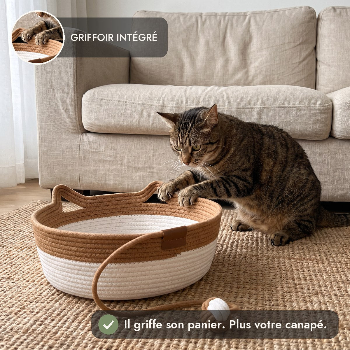 Le chat griffe son panier au lieu du canapé