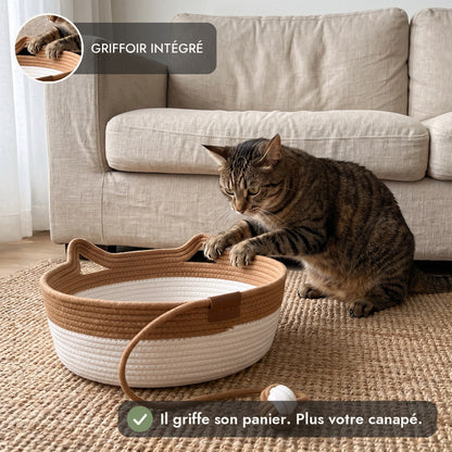 Le chat griffe son panier au lieu du canapé