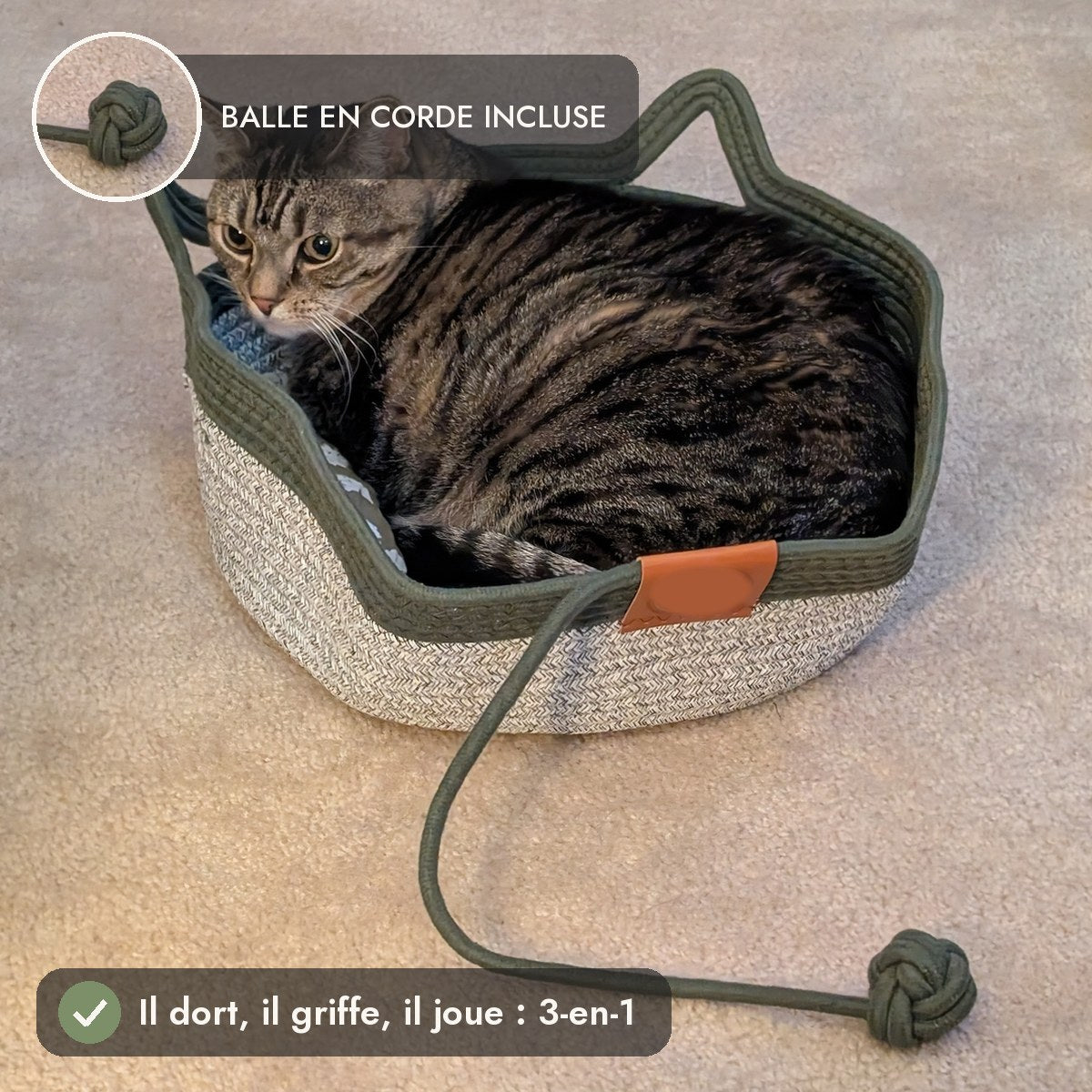 Panier 3-en-1 : il dort, il griffe, il joue avec la balle en corde