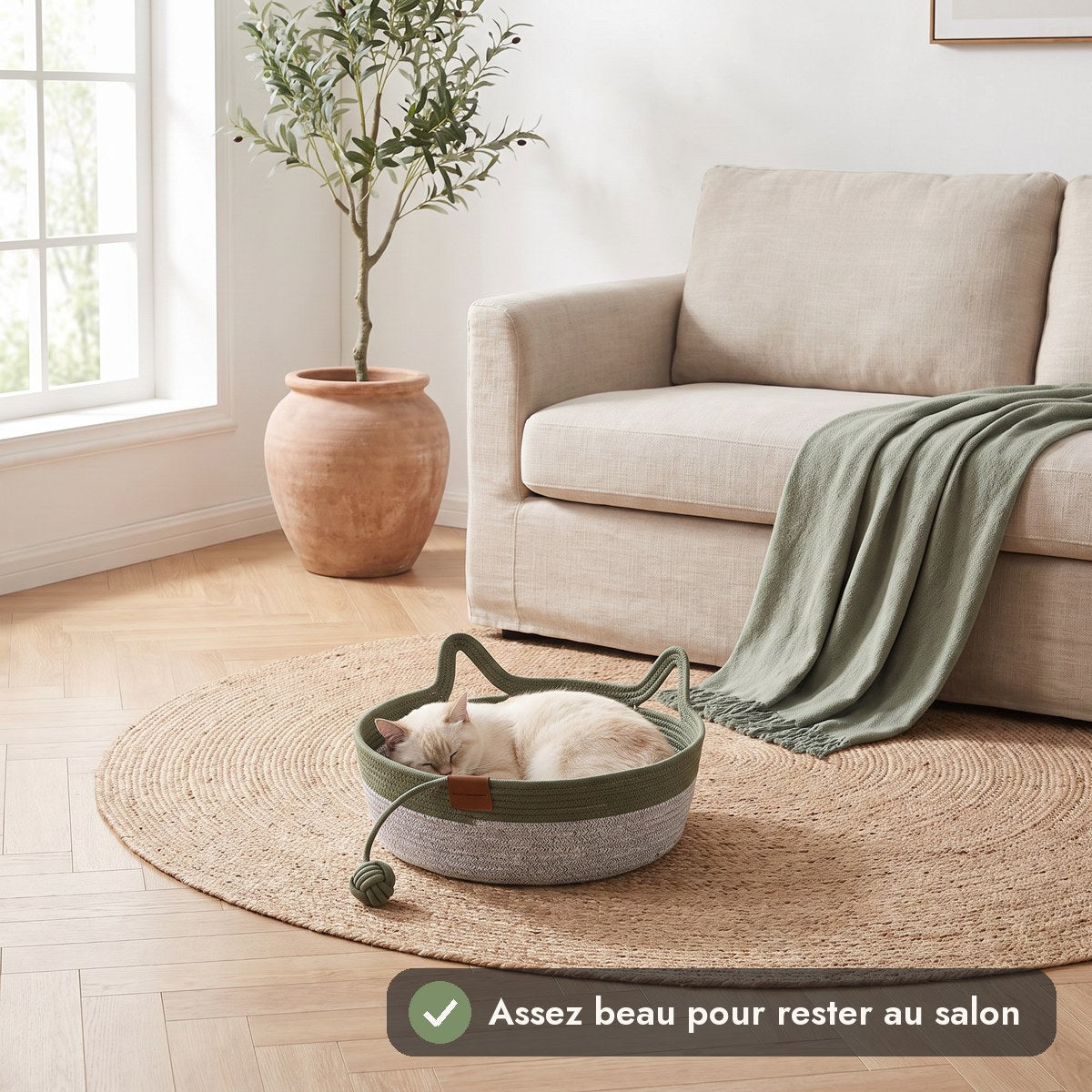 Panier vert dans un salon