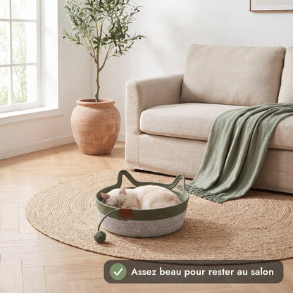 Panier vert dans un salon